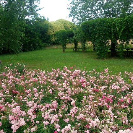 Agriturismo Il Magicorto Cassola Exteriér fotografie