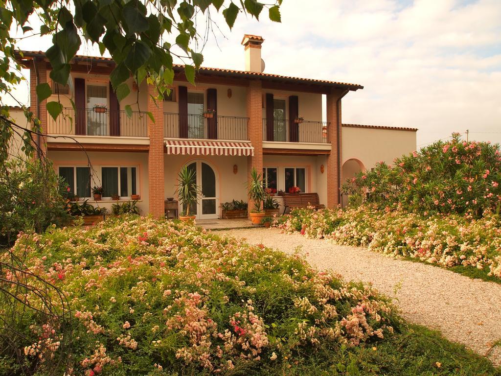 Agriturismo Il Magicorto Cassola Exteriér fotografie