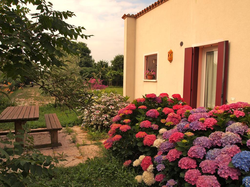 Agriturismo Il Magicorto Cassola Pokoj fotografie