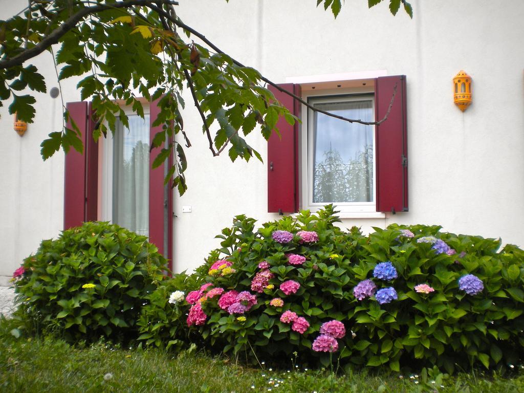Agriturismo Il Magicorto Cassola Pokoj fotografie
