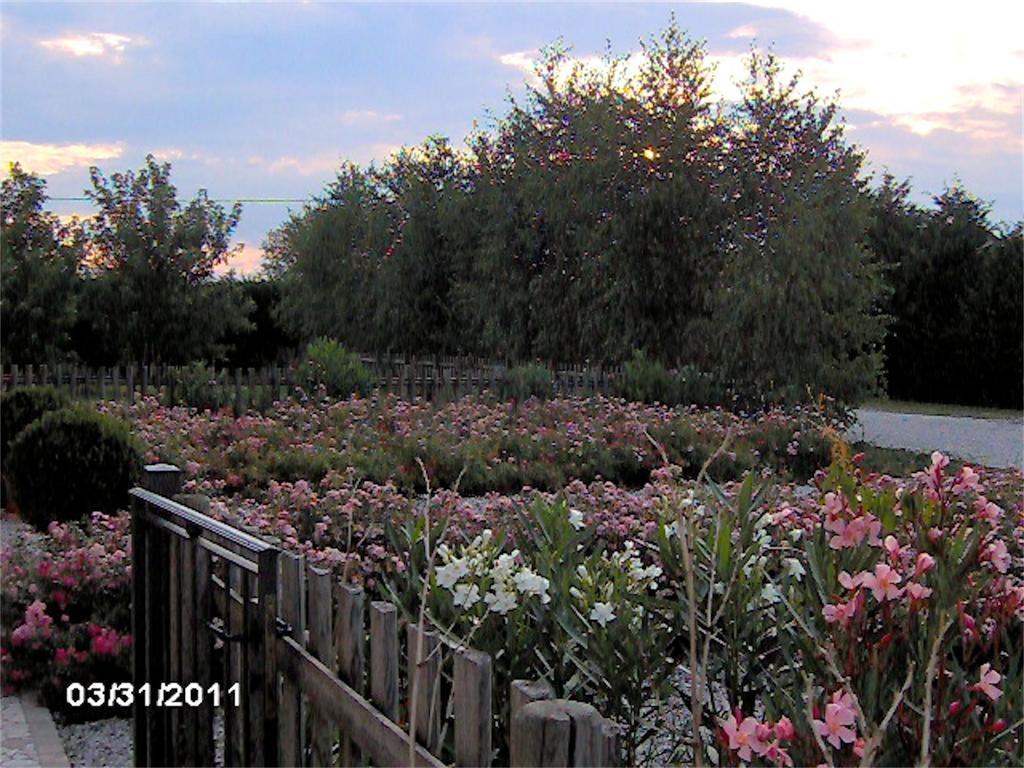 Agriturismo Il Magicorto Cassola Exteriér fotografie