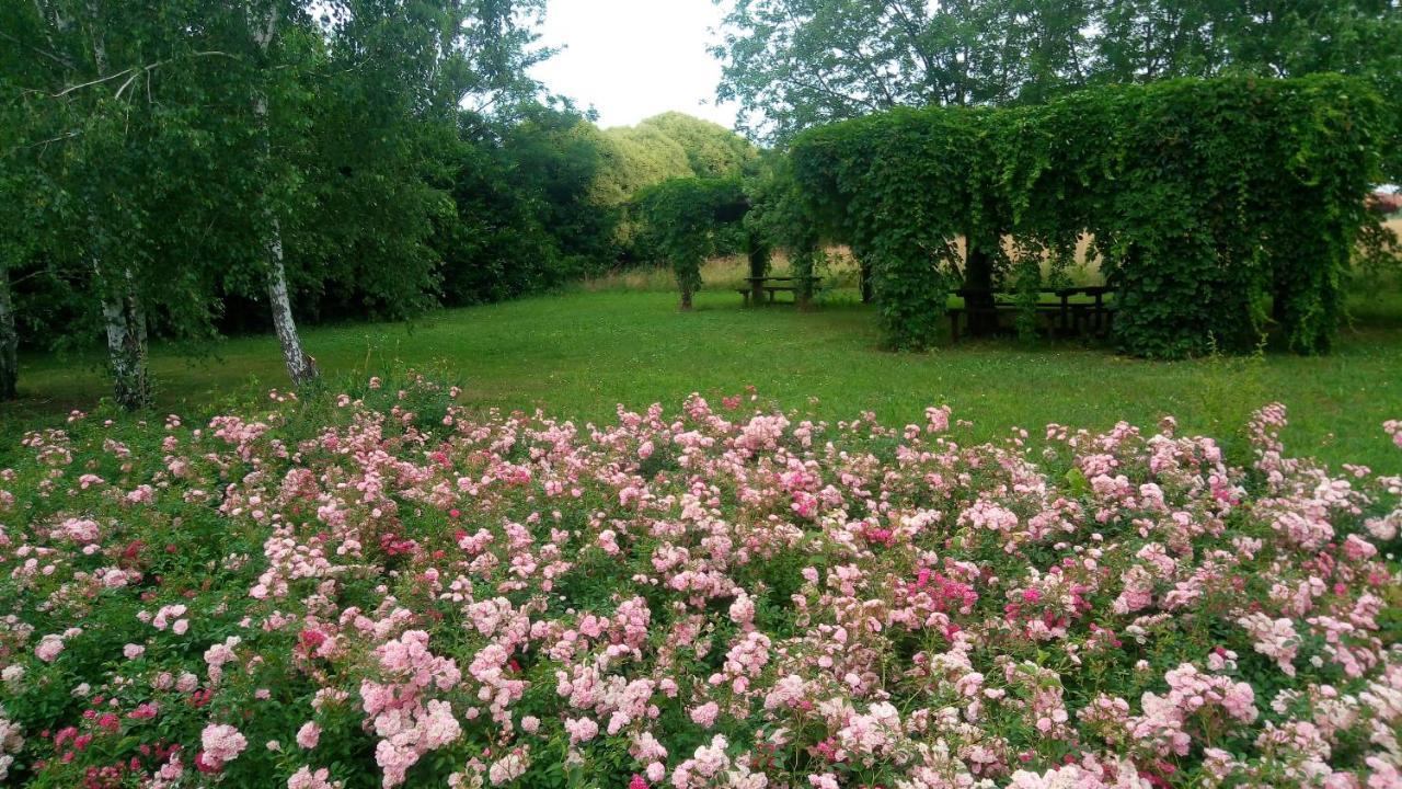 Agriturismo Il Magicorto Cassola Exteriér fotografie