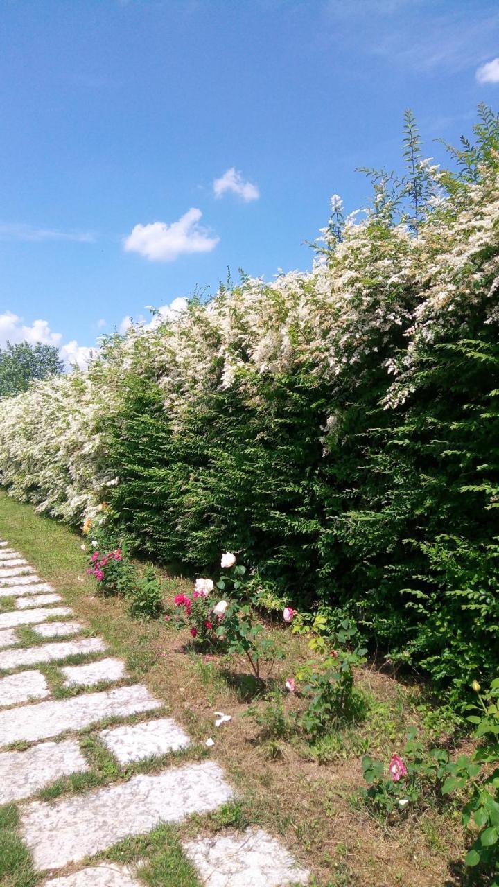 Agriturismo Il Magicorto Cassola Exteriér fotografie