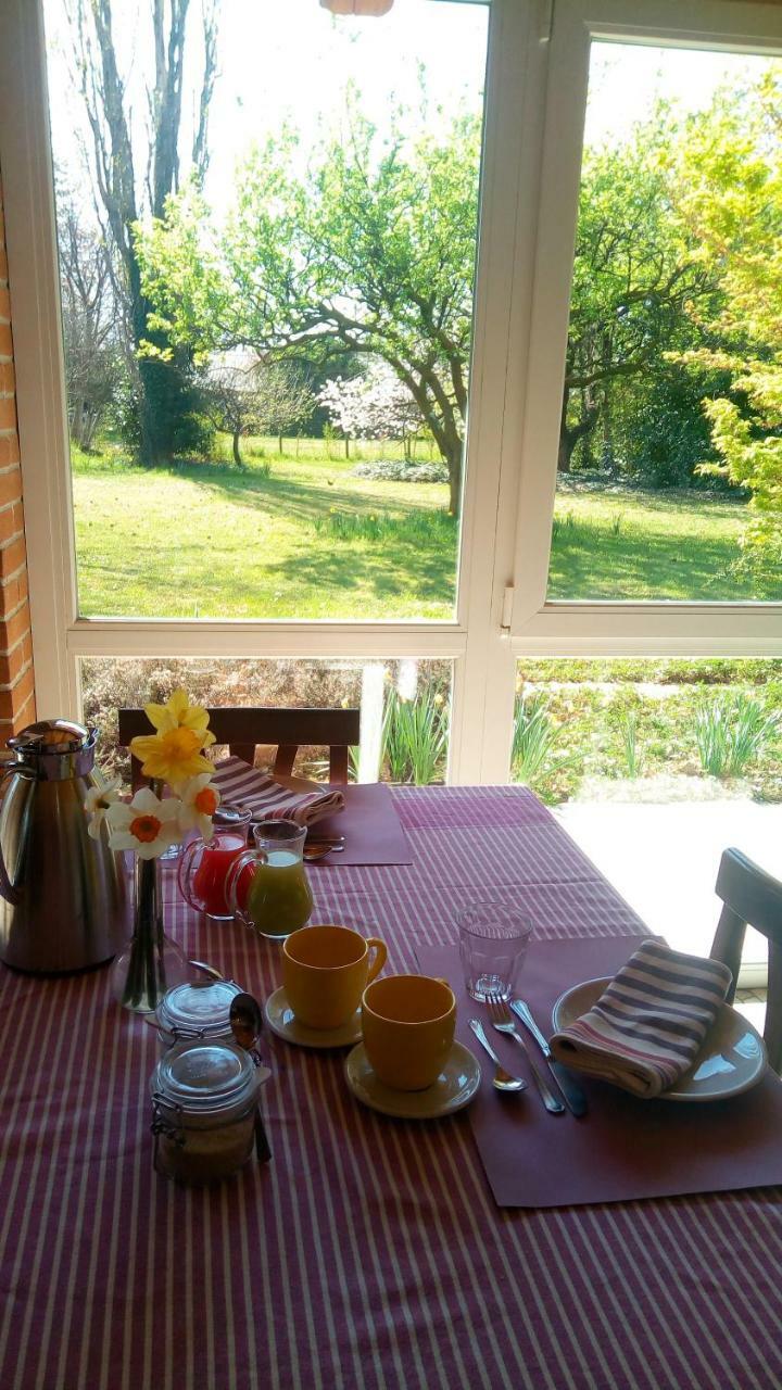 Agriturismo Il Magicorto Cassola Exteriér fotografie